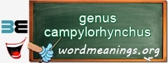 WordMeaning blackboard for genus campylorhynchus